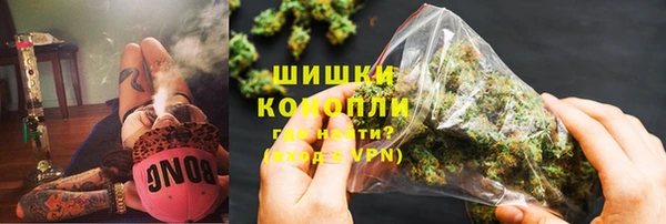 сатива Бронницы