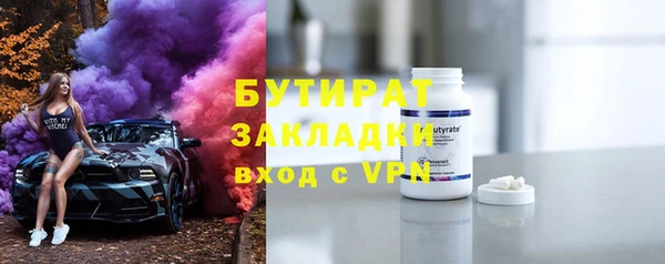 сатива Бородино
