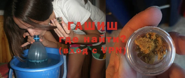 сатива Бородино