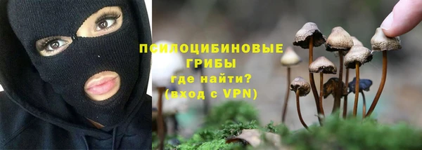 сатива Бронницы