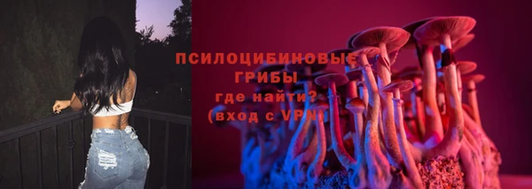 сатива Бородино