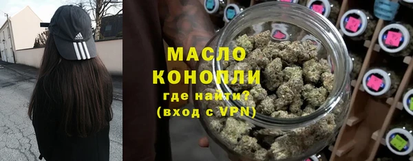 сатива Бородино
