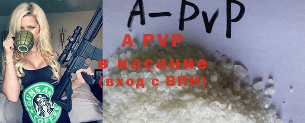 сатива Бородино
