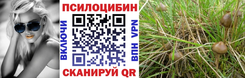 Купить  Вятские Поляны  Псилоцибиновые грибы прущие грибы 
